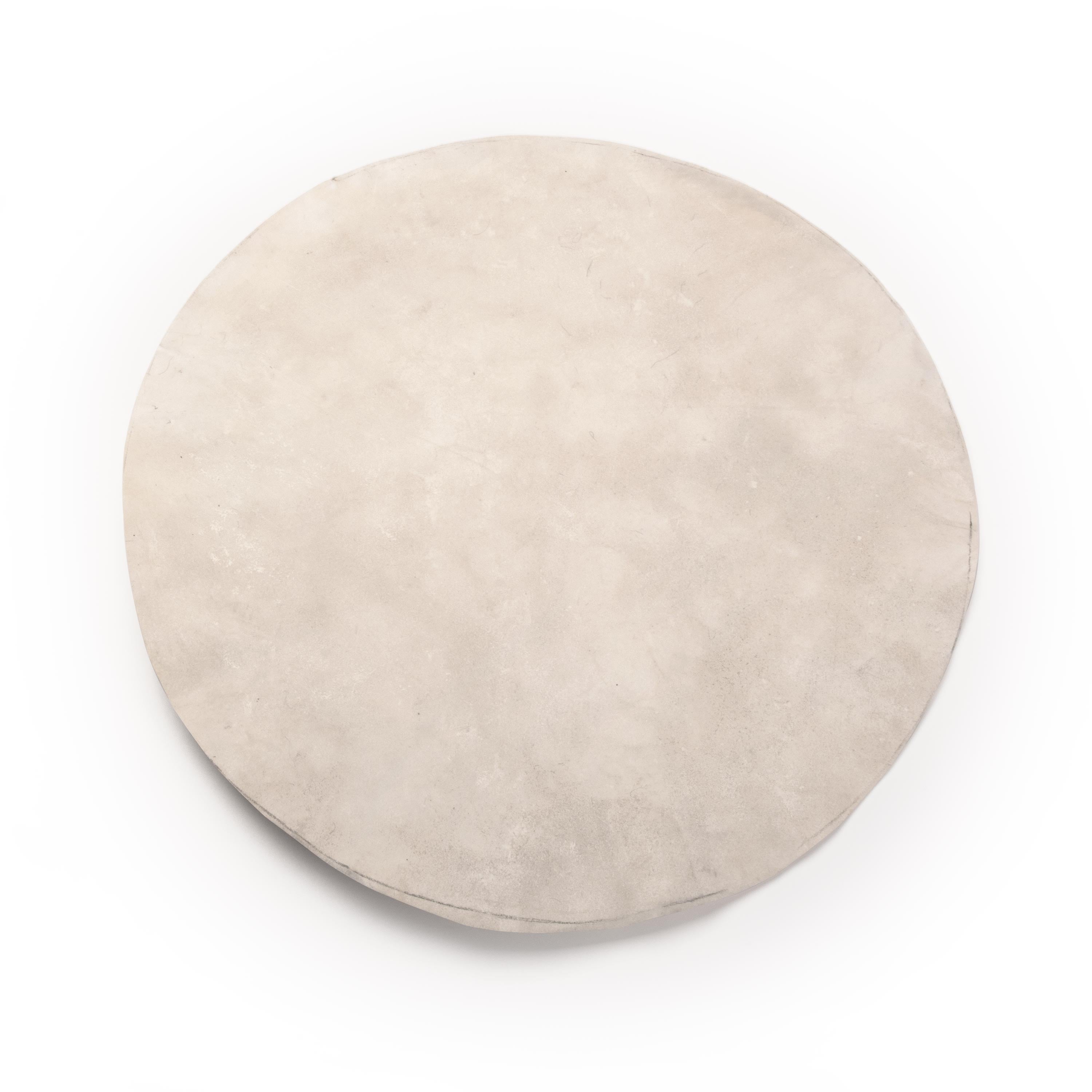 Skin Banjo Head