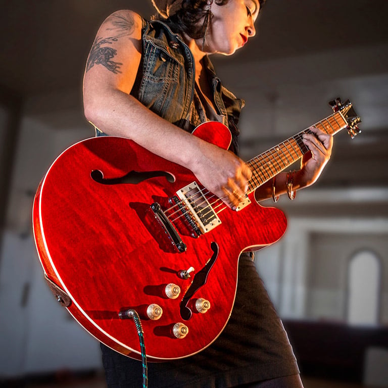 Semi-Hollowbody Electric Guitar Kit