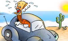 Hot car-toon