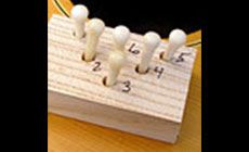 Bridge pin block