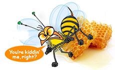 Bye bye beeswax